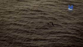 Railway Murders S01E01 1080p HEVC x265-MeGusta EZTV