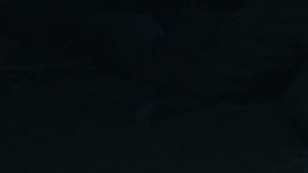 Raised by Wolves 2020 S01E08 Mass 1080p HMAX WEB-DL DD5 1 H 264-NTG EZTV