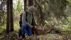 Ray Mears Northern Wilderness S01E01 The Forgotten Forest HDTV x264-UNDERBELLY EZTV