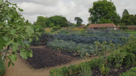 Raymond Blancs Royal Kitchen Gardens S01E01 1080p HEVC x265-MeGusta EZTV