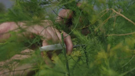 Raymond Blancs Royal Kitchen Gardens S01E01 XviD-AFG EZTV