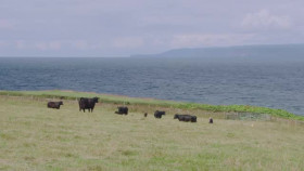 Raymond Blancs Royal Kitchen Gardens S01E02 XviD-AFG EZTV