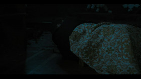 Reginald the Vampire S02E10 FiNAL MULTi 1080p WEB H264-AMB3R EZTV