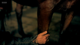 Renaissance The Blood and the Beauty S01E01 1080p WEBRiP x264-DARKFLiX EZTV