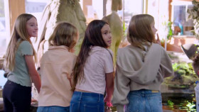 Reptile Royalty S02E03 XviD-AFG EZTV