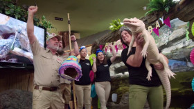 Reptile Royalty S02E04 1080p HEVC x265-MeGusta EZTV