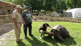 Reptile Royalty S02E05 XviD-AFG EZTV