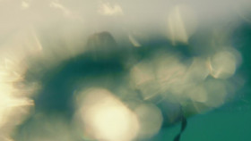 Rescue HI-Surf S01E02 720p x265-TiPEX EZTV