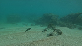 Rescue HI-Surf S01E06 1080p WEB h264-EDITH EZTV