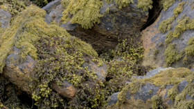 Return to Uist S01E02 XviD-AFG EZTV