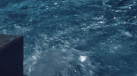 Revelation S01 WEBRip x264-ION10 EZTV