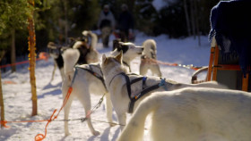 Rich Holiday Poor Holiday S03E05 1080p WEB H264-CBFM EZTV