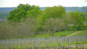 Rich Holiday Poor Holiday S04E08 720p HEVC x265-MeGusta EZTV