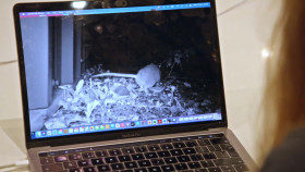 Richard Hammonds Workshop S02E03 1080p HEVC x265-MeGusta EZTV