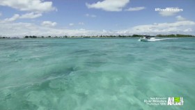 River Monsters S08E05 Terror In Paradise 720p HDTV x264-DHD EZTV