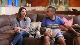 Road To Puppy Bowl S01E01 720p WEB h264-DiRT EZTV