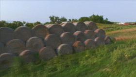 Roadworthy Rescues S03E02 1080p HEVC x265-MeGusta EZTV