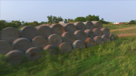 Roadworthy Rescues S03E02 1080p WEB h264-FREQUENCY EZTV