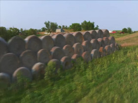 Roadworthy Rescues S03E02 480p x264-mSD EZTV