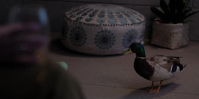 Roar 2022 S01E05 720p WEB h264-KOGi EZTV