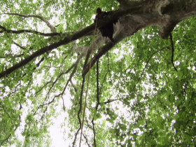 Robin Hood S03E01 Total Eclipse 720p WEB-DL DD2 0 H 264-KiNGS EZTV