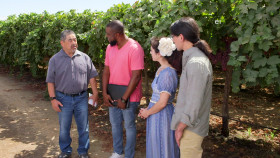 Roots Less Traveled S03E05 1080p WEB h264-DiRT EZTV