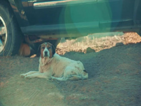 Roots of Comedy with Jesus Trejo S01E04 480p x264-mSD EZTV