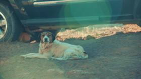 Roots of Comedy with Jesus Trejo S01E04 720p WEBRip x264-BAE EZTV