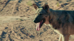 Roots of Comedy with Jesus Trejo S01E04 XviD-AFG EZTV