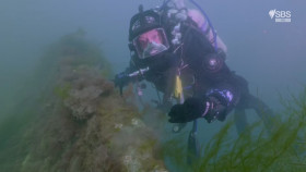 Ross Kemp Shipwreck Treasure Hunter S01E01 1080p HEVC x265-MeGusta EZTV
