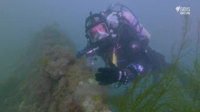 Ross Kemp Shipwreck Treasure Hunter S01E01 XviD-AFG EZTV