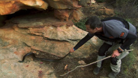 Running Wild S03E02 Julianne Hough 1080p WEB-DL DD5 1 x264-CasStudio EZTV