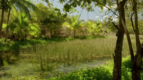 Running Wild with Bear Grylls The Challenge S01 WEBRip x264-ION10 EZTV