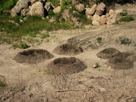 S W A T 2017 S05E01 480p x264-mSD EZTV