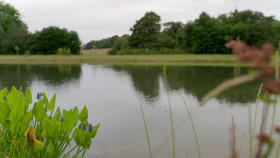 Sarah Beenys New Life in the Country S04E02 1080p HDTV H264-DARKFLiX EZTV