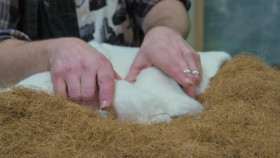 Saved and Remade S01E05 720p HDTV x264-DARKFLiX EZTV