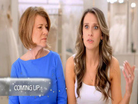 Say Yes to the Dress S20E04 The Struggle Is Real 480p x264-mSD EZTV