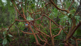 Scaredy Cats S01E01 720p WEB h264-DOLORES EZTV