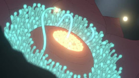 Scavengers Reign S01E03 XviD-AFG EZTV