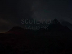 Scotland A Wild Year S01E04 480p x264-mSD EZTV