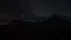 Scotland A Wild Year S01E04 720p HDTV x264-DARKFLiX EZTV