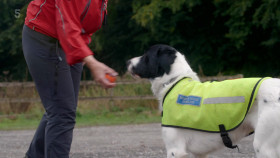 Secret Life of the Forest S02E05 1080p HDTV H264-DARKFLiX EZTV