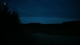 Secret Life of the Forest S02E06 1080p HDTV H264-DARKFLiX EZTV