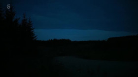 Secret Life of the Forest S02E06 XviD-AFG EZTV