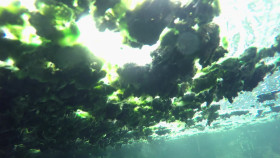 Secret Life Underground S01E02 1080p WEBRip x264-CBFM EZTV