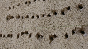 Secret Nazi Ruins S02E03 Secrets of Vogelsang Castle XviD-AFG EZTV