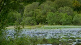 Secret Scotland with Susan Calman S03E02 HDTV x264-DARKFLiX EZTV