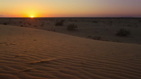 Secret World of Sound with David Attenborough S01E01 iNTERNAL 1080p HEVC x265-MeGusta EZTV