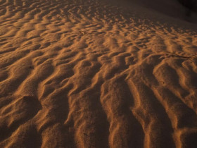 Secret World of Sound with David Attenborough S01E01 iNTERNAL 480p x264-mSD EZTV