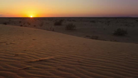 Secret World of Sound with David Attenborough S01E01 iNTERNAL XviD-AFG EZTV